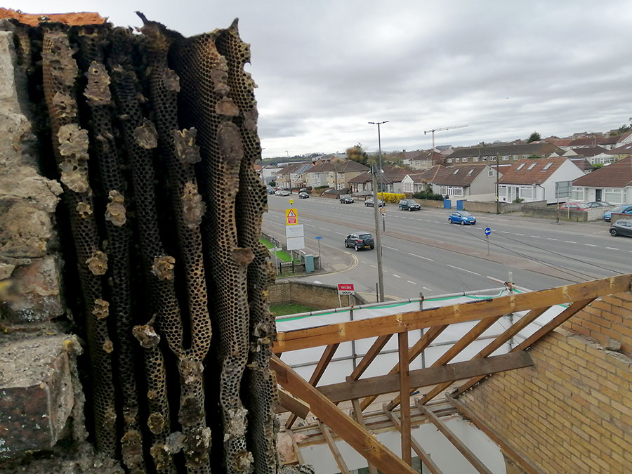 Photo of a bee nest in a partly dismantled chimney.